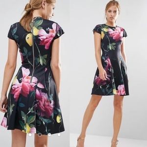 Ted Baker Dress Allison Mini Fit and Flare in Black Floral